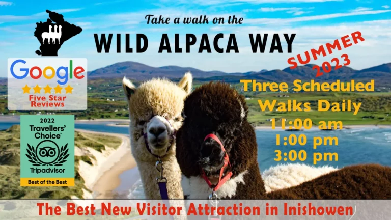 Wild Alpaca Way web Header 2023 768x432